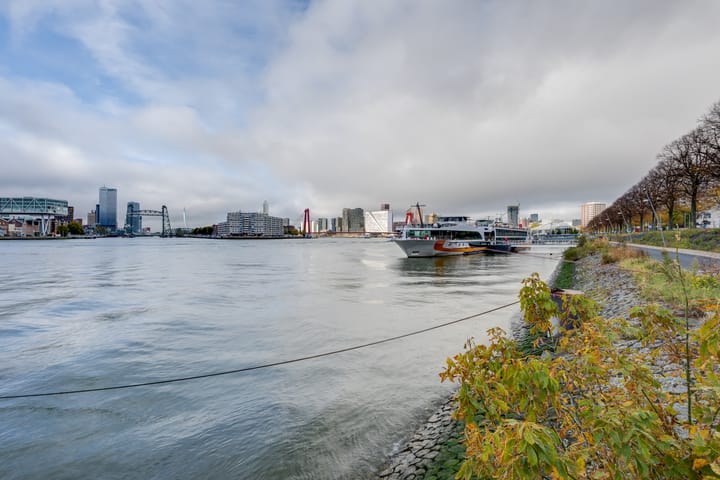 Foto 55 van Oostmaaslaan 217-B