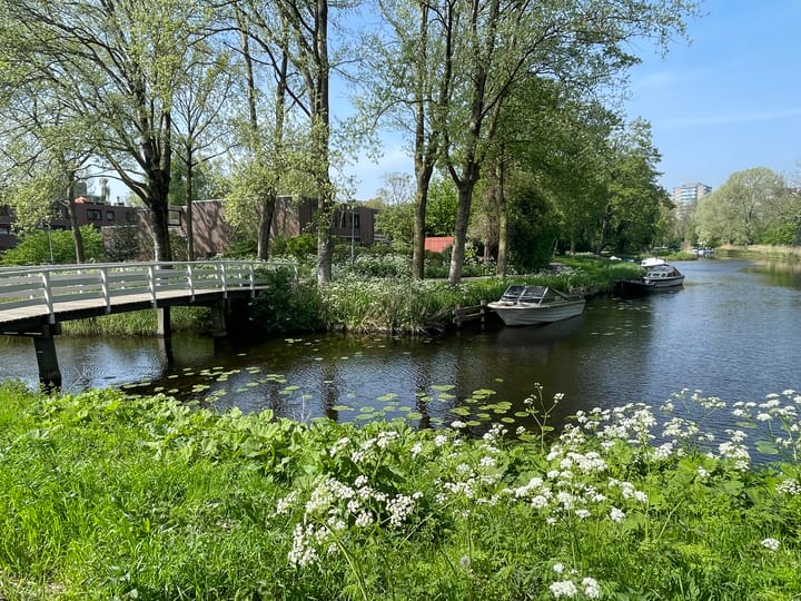 Foto 33 van Waddenstraat 533