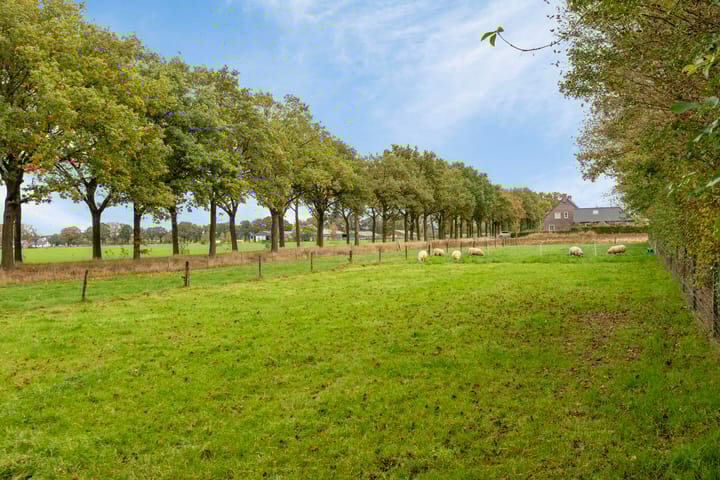 Foto 44 van Stevensvaartje 13