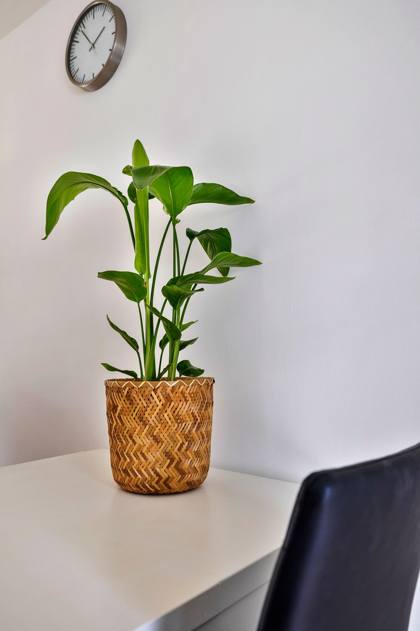 Photo 6 of Rubenslaan 47