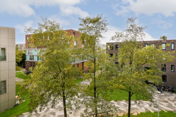 Foto 12 van Funenpark 325