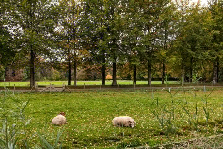 Foto 29 van Bloemveldlaan 4