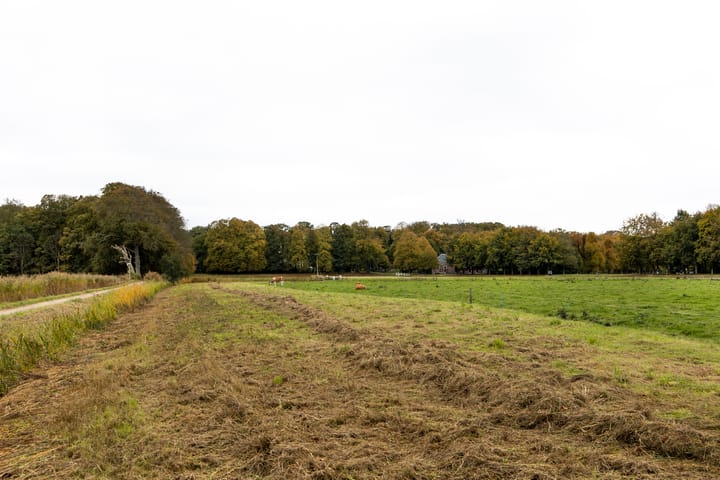 Foto 30 van Bloemveldlaan 4