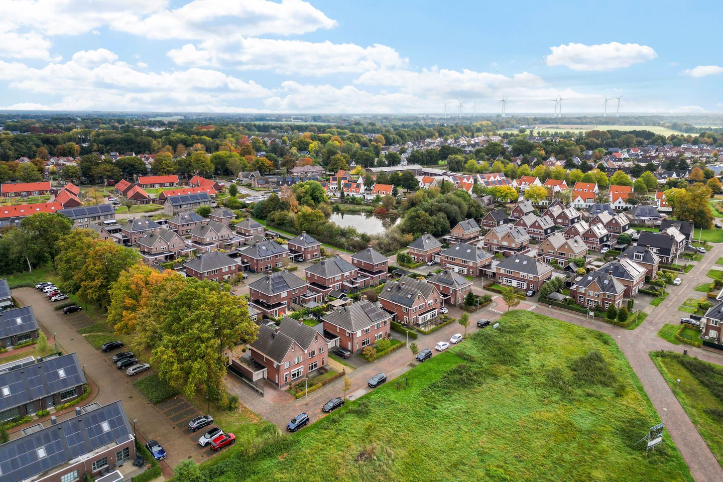 Foto 4 van Hopklaver 12