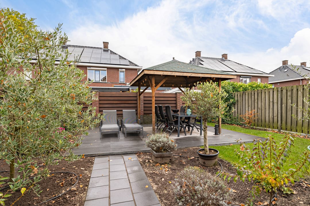 Foto 32 van Hopklaver 12