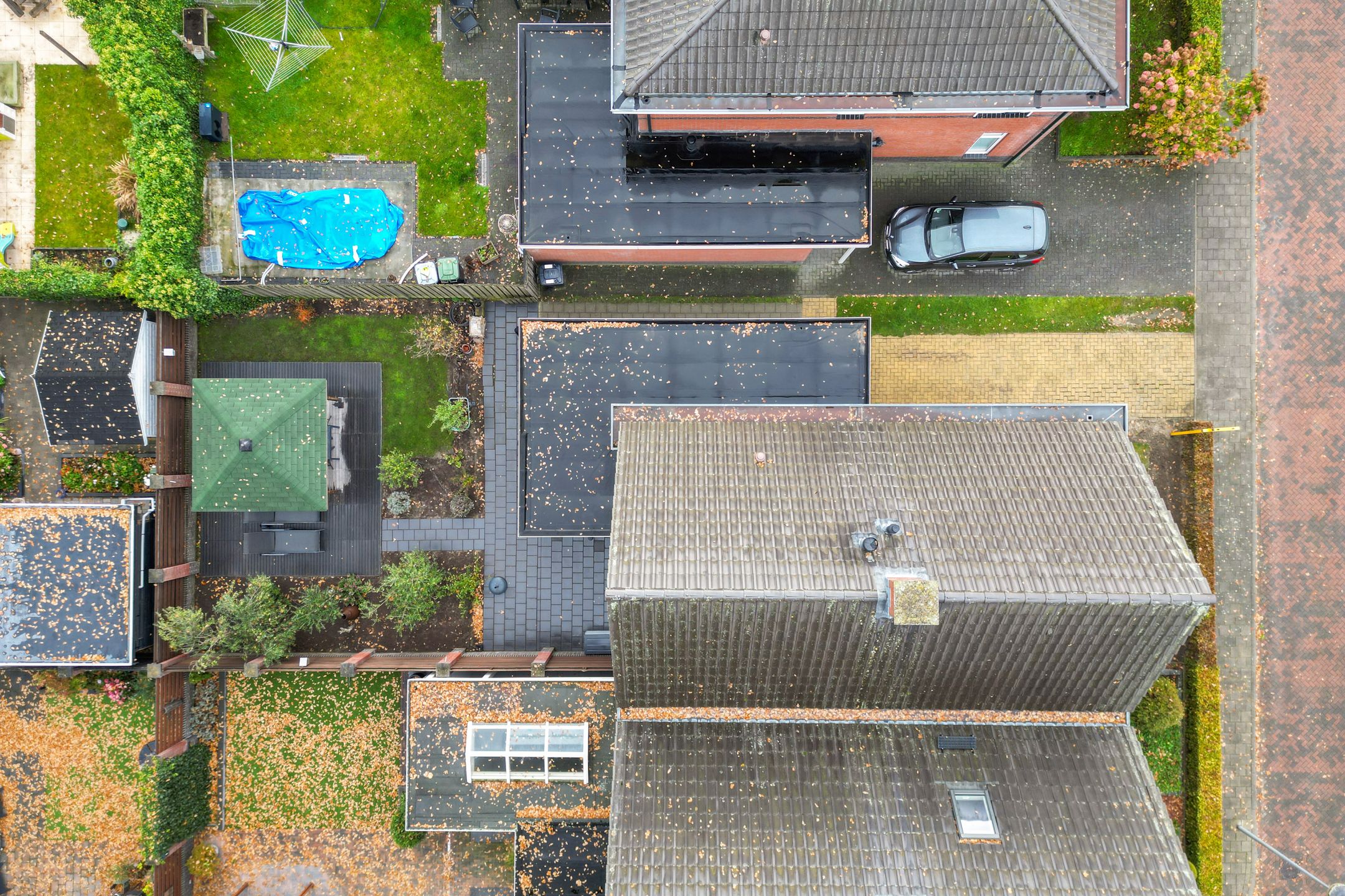 Foto 39 van Hopklaver 12