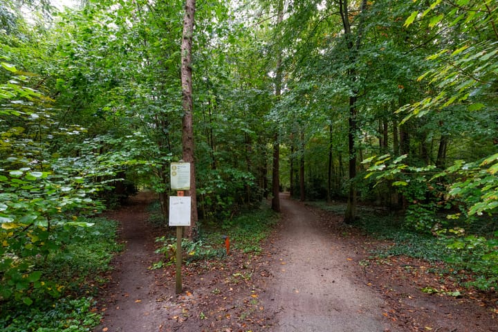 Foto 52 van van Oosthuyselaan 65