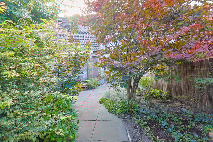 Foto 31 van Wijnbesstraat 16