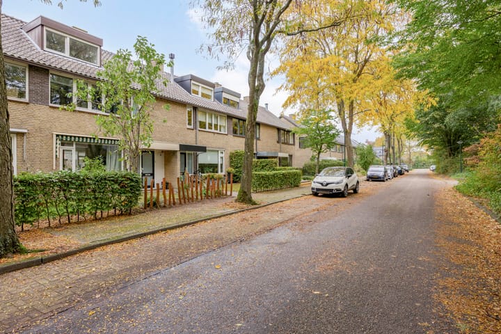 Foto 51 van Limburglaan 24