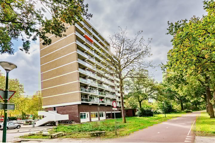 Photo 3 of Henri Dunantplein 72