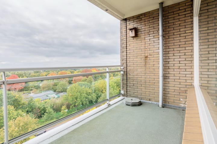 Photo 22 of Henri Dunantplein 72