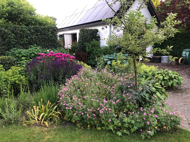 Foto 51 van Singel 68