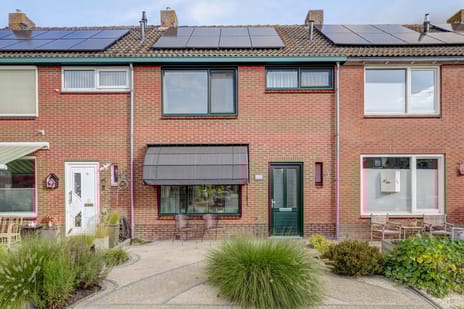 undefined main image