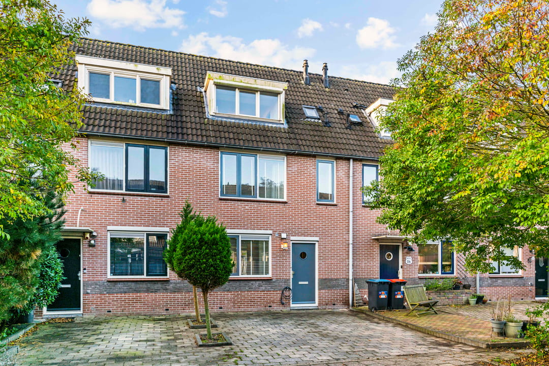 Foto 2 van Brandgans 8