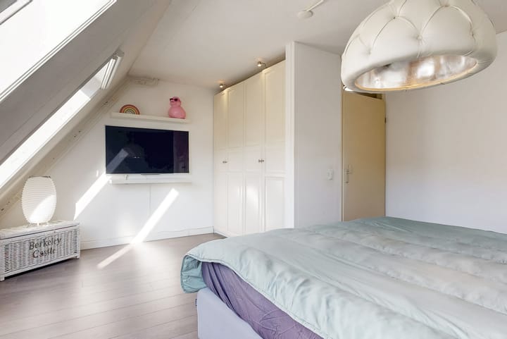 Foto 9 van Brandgans 8