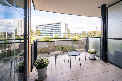 Thailandsingel 8 tertiary image