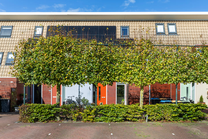 Bé van den Doolstraat 48