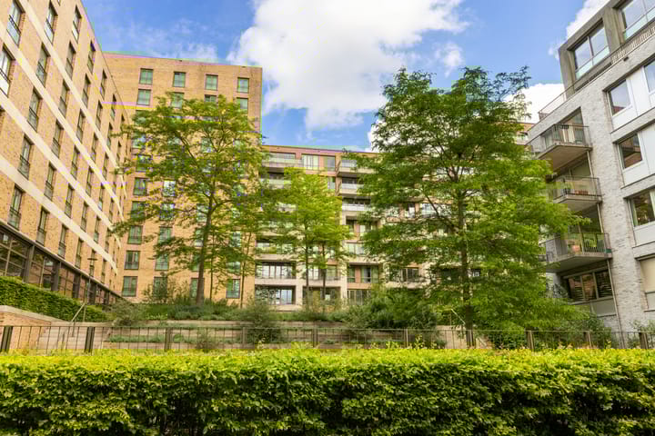 Titus van Rijnstraat 296