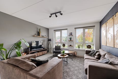 Vaart ZZ 4-D tertiary image