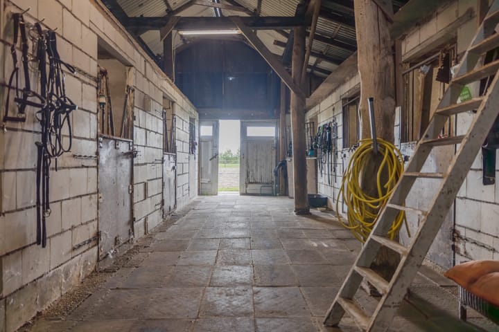 Photo 37 of Zandumerweg 58