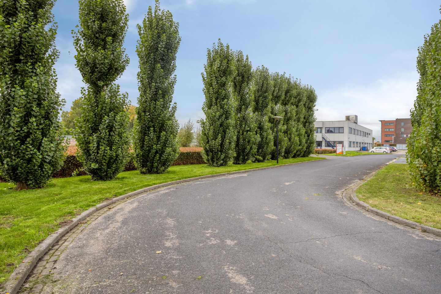 Bekijk foto 2 van Biesbosweg 4