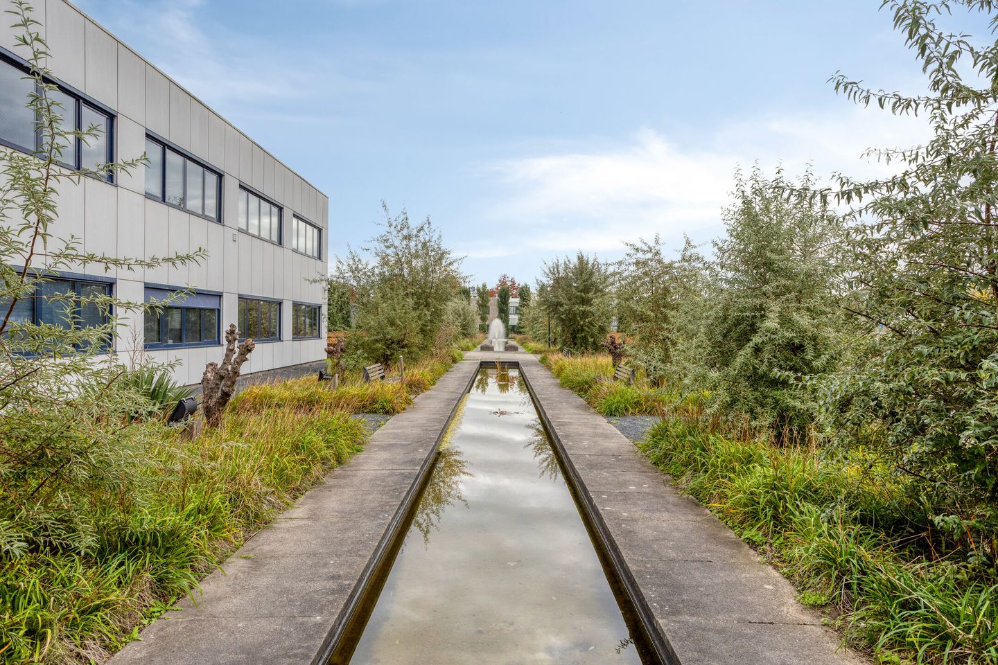 Bekijk foto 4 van Biesbosweg 4