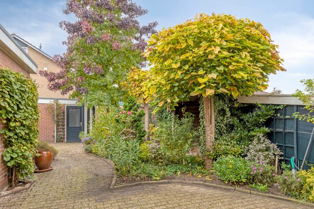 Foto 22 van Keizersdwarsweg 46