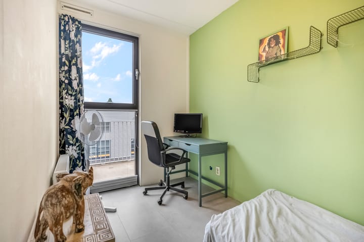 Foto 12 van Spinderweg 93