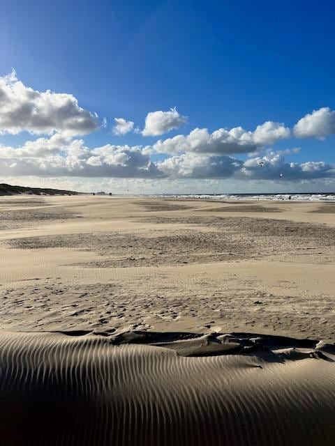 Foto 25 van Heemskerckstraat 29-A