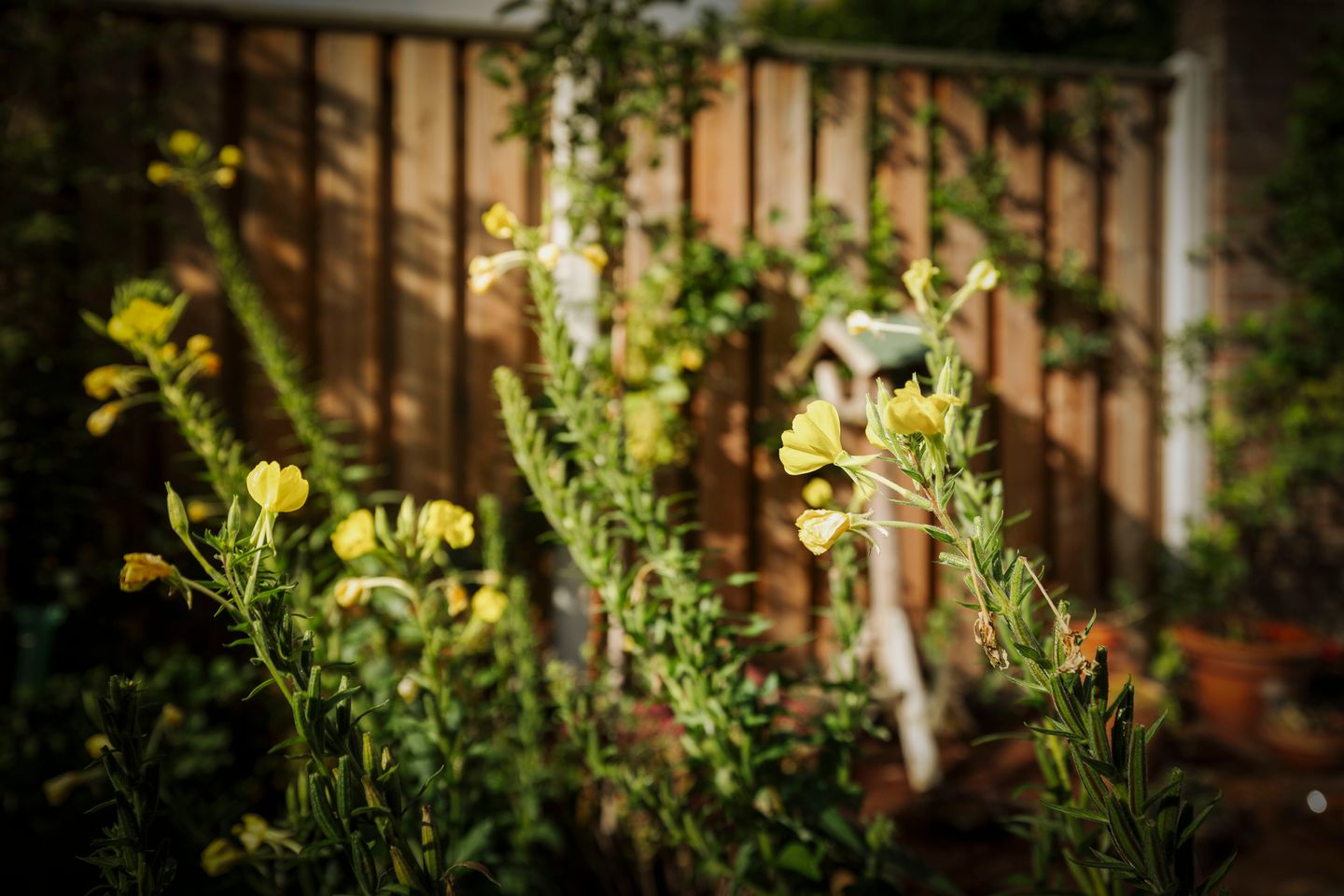 Foto 50 van Eendrachtstraat 7