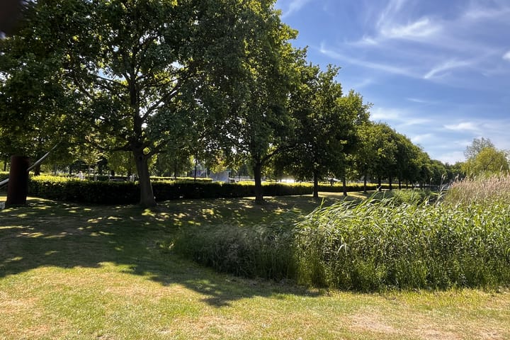 Foto 31 van De Oude Wereld 61