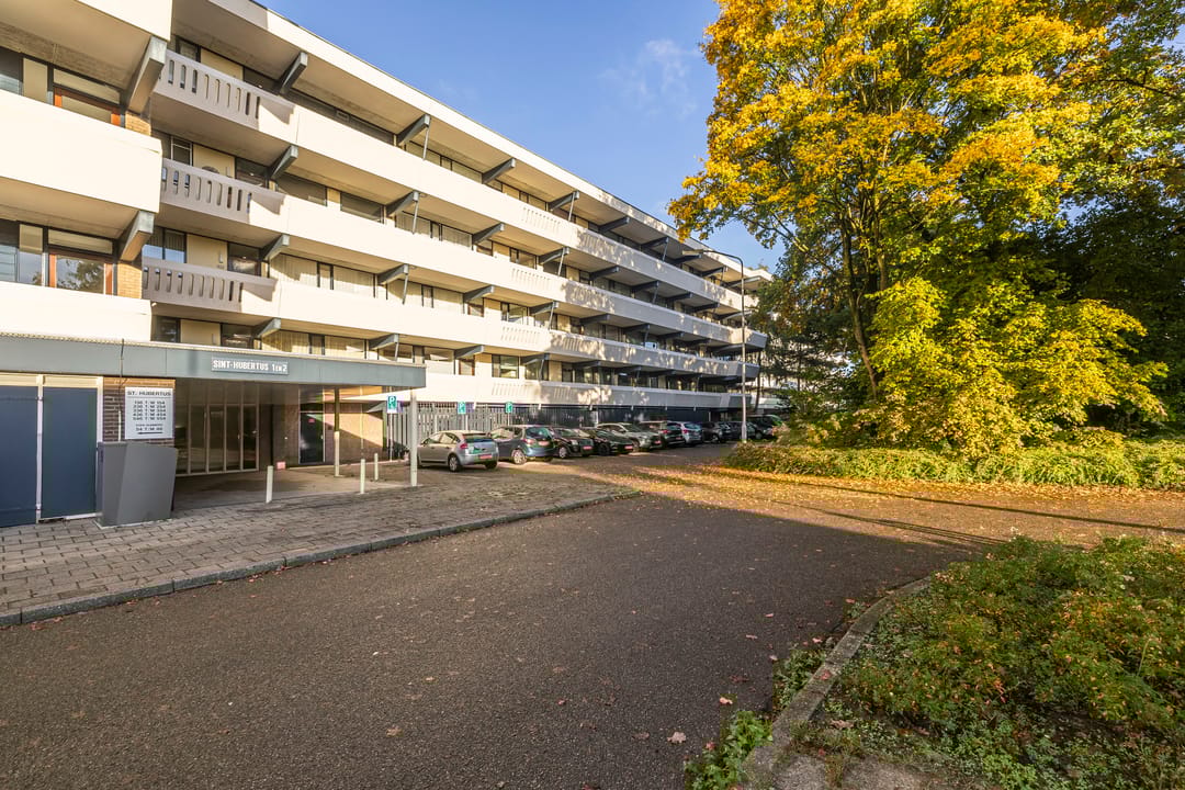 Photo 31 of Sint Hubertus 336