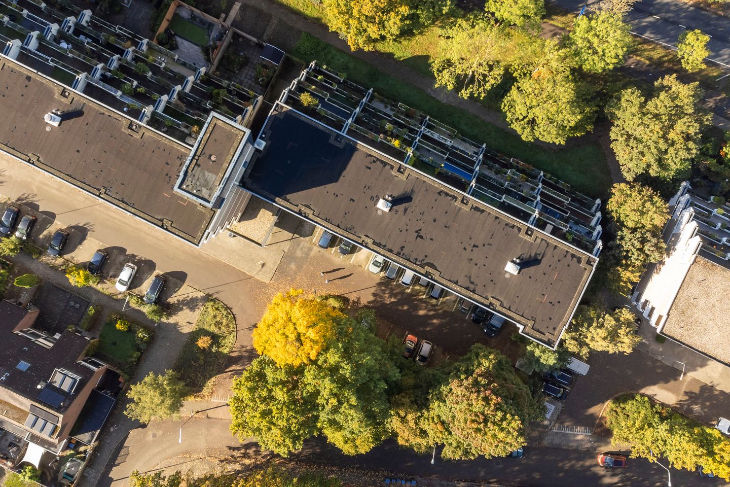 Photo 34 of Sint Hubertus 336