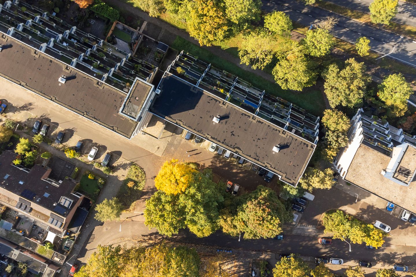 Photo 35 of Sint Hubertus 336