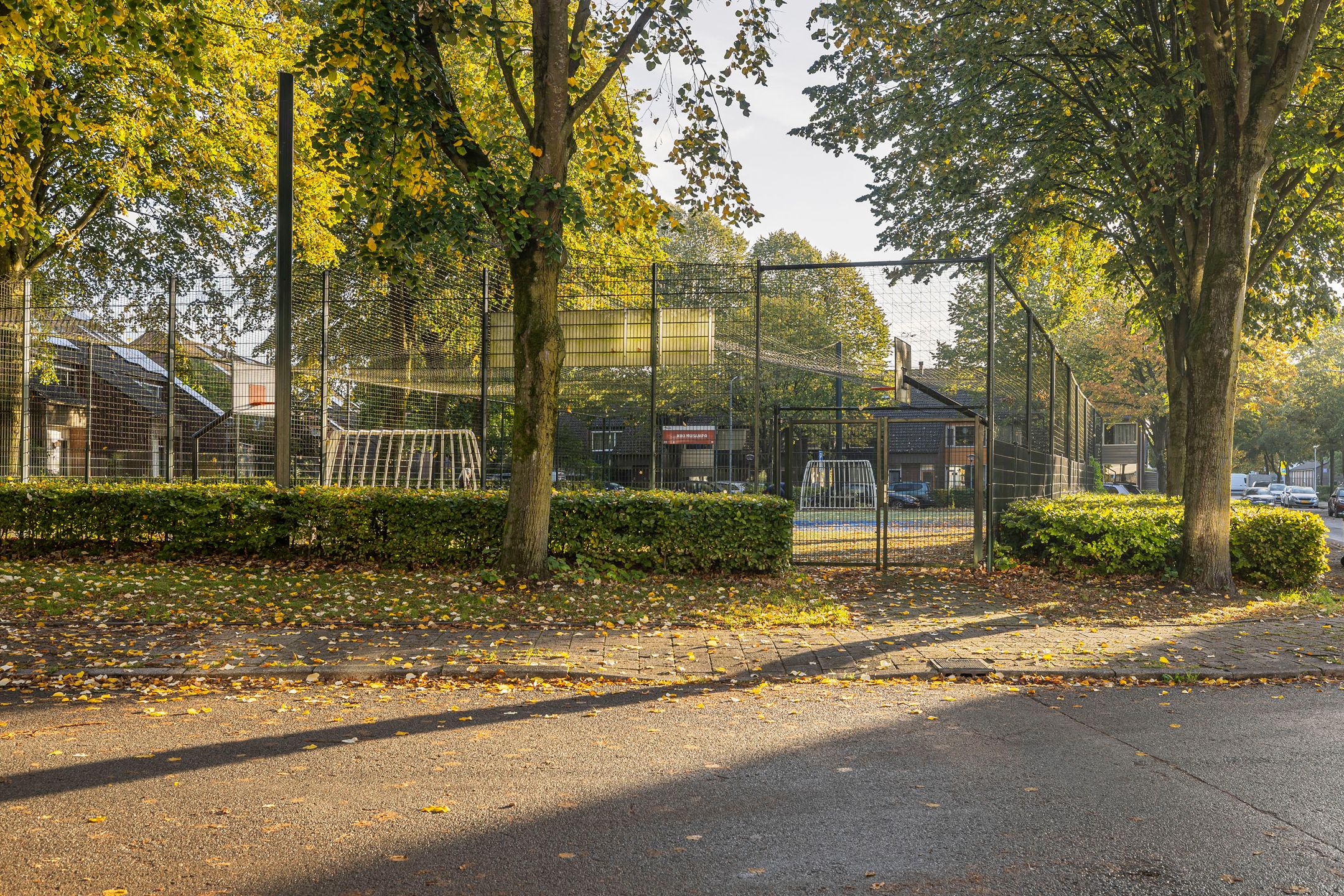 Photo 36 of Sint Hubertus 336