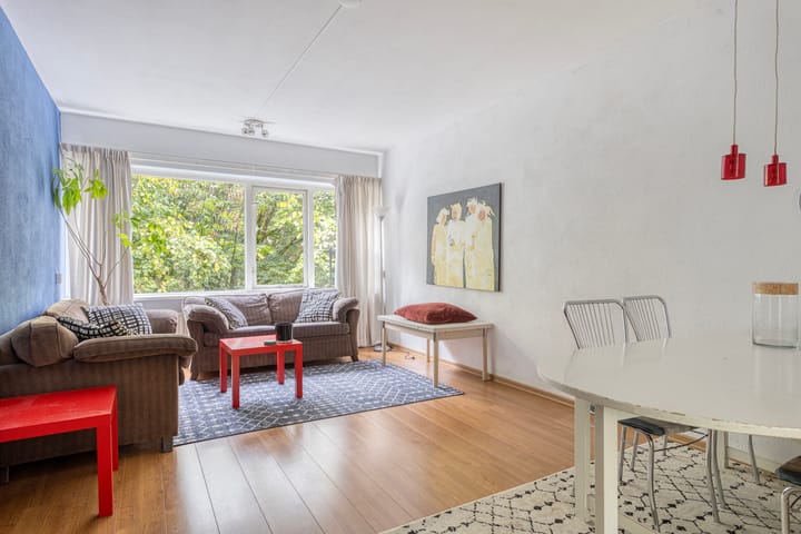 Foto 6 van Professor Cobbenhagenlaan 112