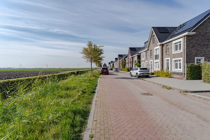 Foto 4 van Wilgenroos 49