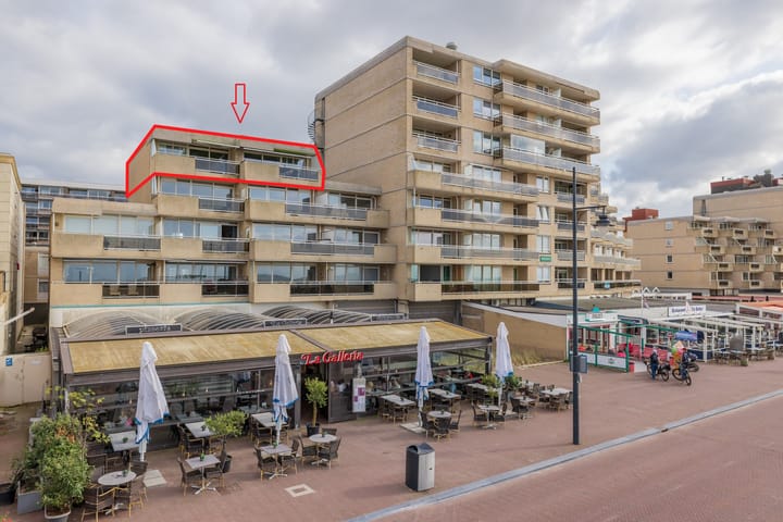 Photo 4 of Adelaert 51