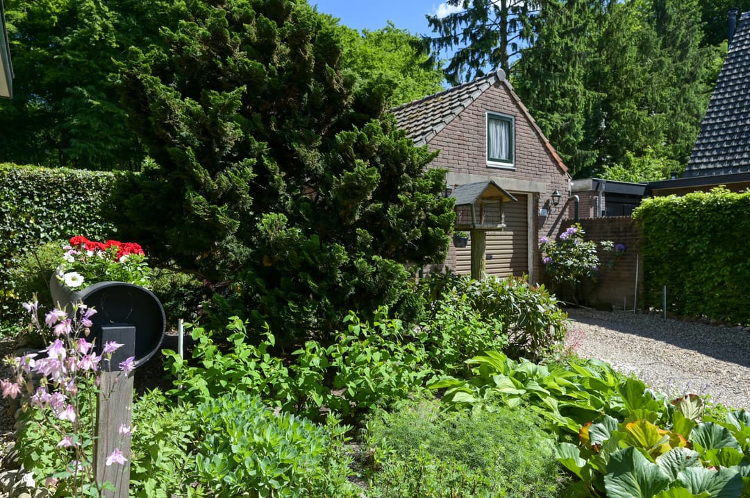 Foto 23 van Bosrand 29