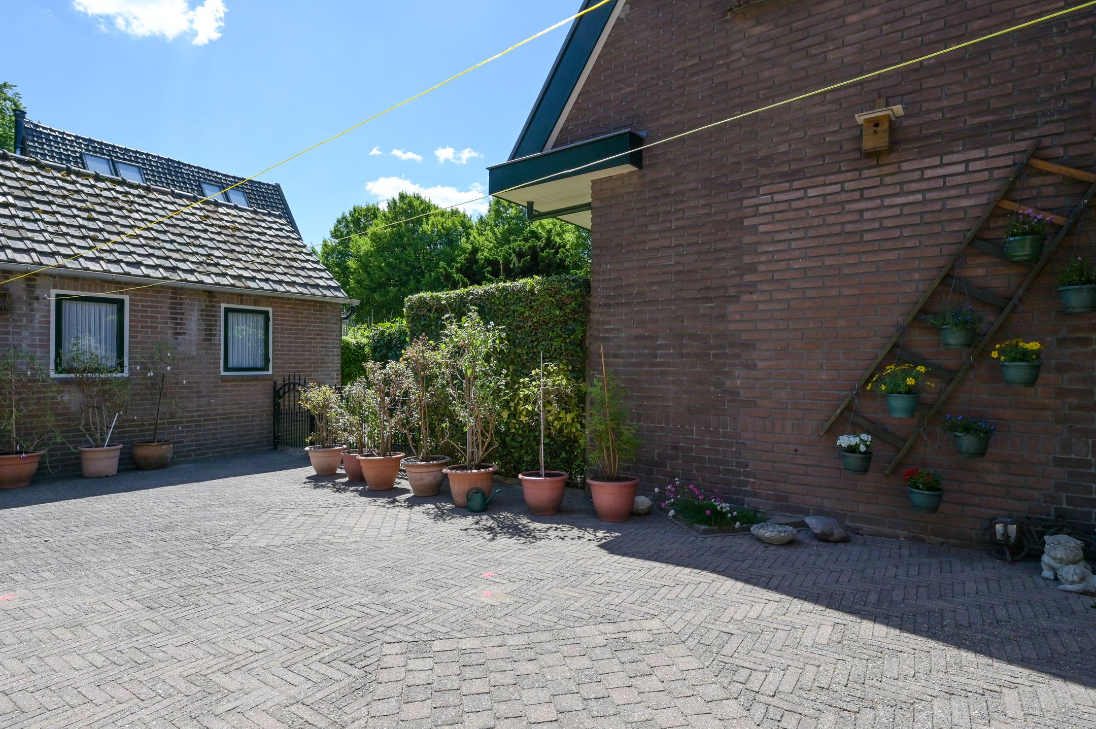 Foto 30 van Bosrand 29