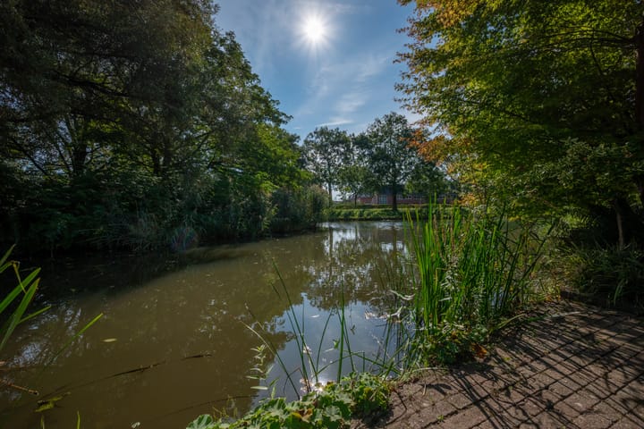 Foto 23 van Prozastraat 14