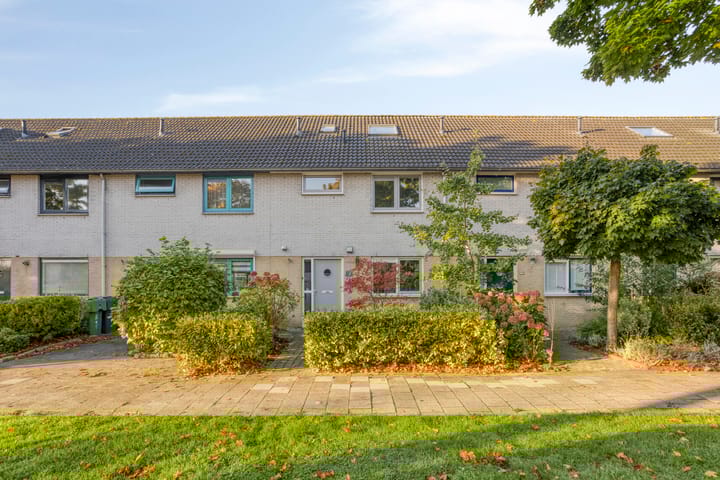 Foto 35 van Gele Varaan 37