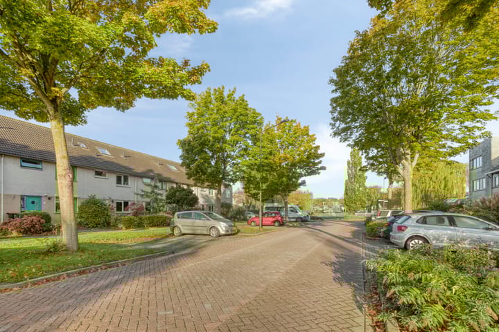 Foto 36 van Gele Varaan 37