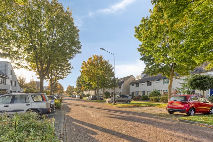 Foto 37 van Gele Varaan 37