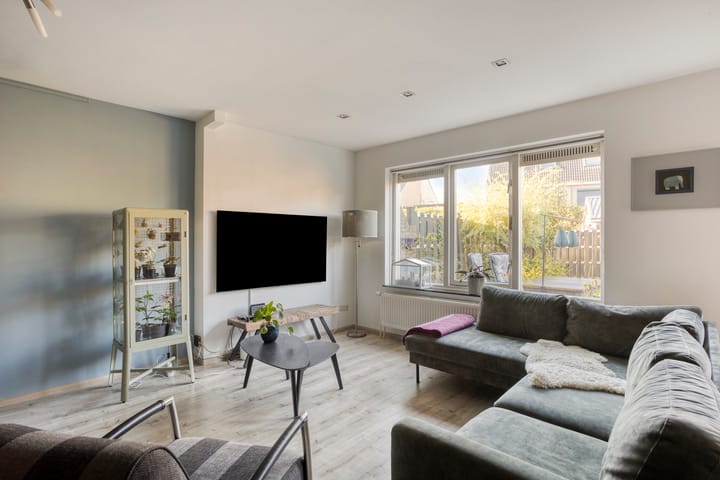 Foto 10 van Gele Varaan 37