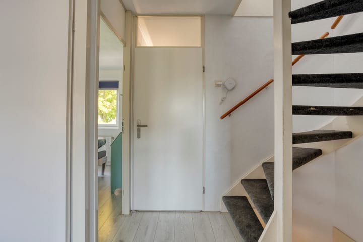 Foto 18 van Gele Varaan 37