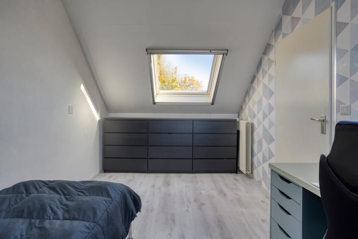 Foto 30 van Gele Varaan 37