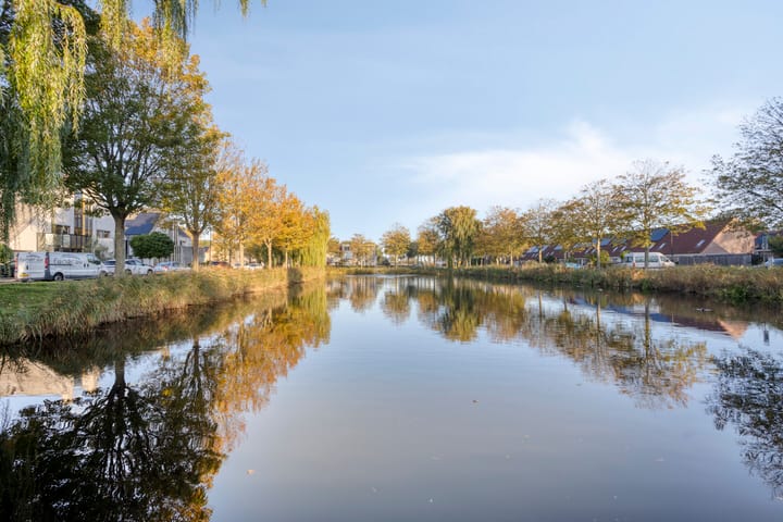 Foto 39 van Gele Varaan 37