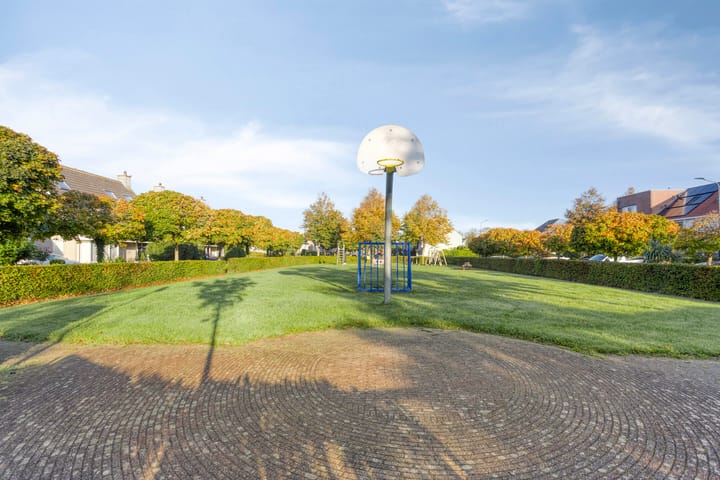 Foto 41 van Gele Varaan 37