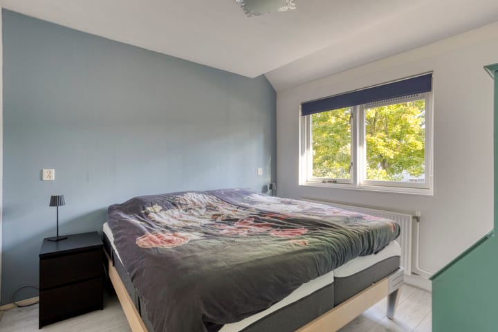 Foto 4 van Gele Varaan 37